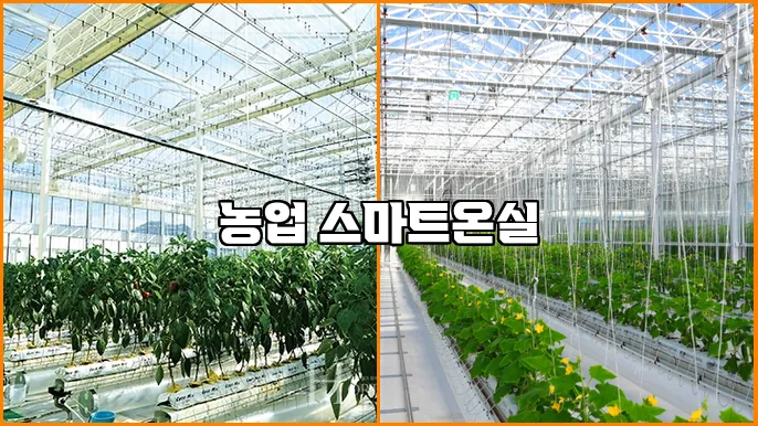 농업 스마트온실