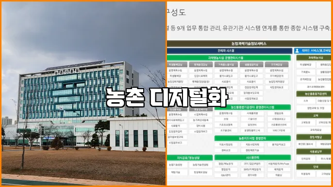 농촌 디지털화