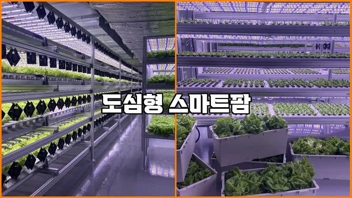 도심형 스마트팜