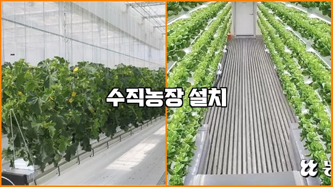 수직농장 설치